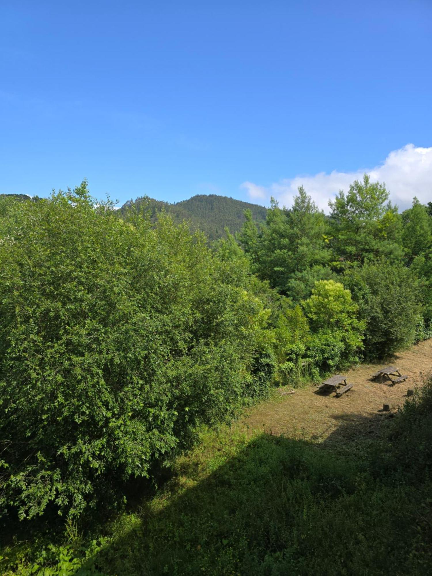 Corias Casona Junto Al Narcea Villa ภายนอก รูปภาพ